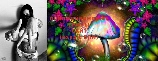 ПСИЛОЦИБИНОВЫЕ ГРИБЫ Карпинск