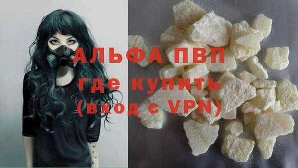 стаф Кинешма