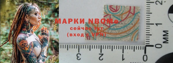 стаф Кинешма