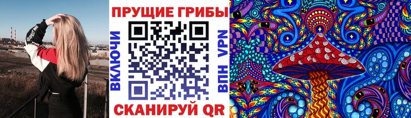 Псилоцибиновые грибы Psilocybine cubensis  купить наркотики цена  Киренск 